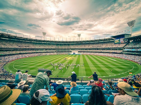 cricket