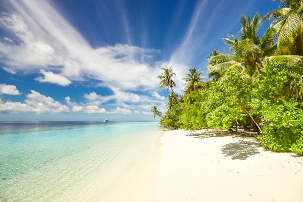 island