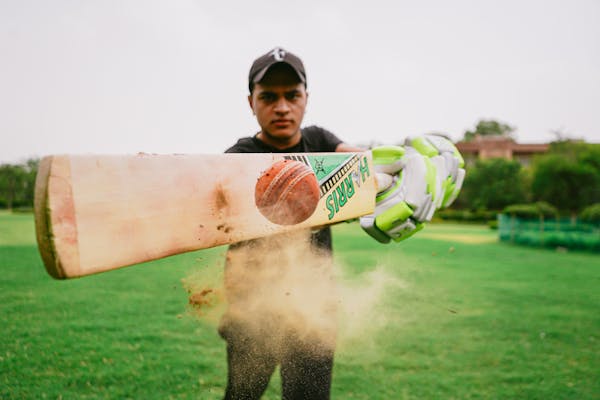 cricket